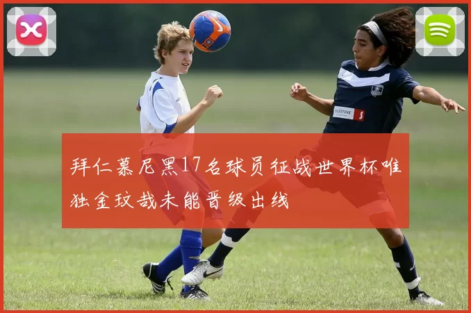 拜仁慕尼黑17名球员征战世界杯唯独金玟哉未能晋级出线